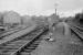 View west at Leyburn towards Redmire, showing the goods yard and the ramped sidings up to the coal drops. Photographed in May 1982, just before final closure to goods traffic.<br><br>[Mark Bartlett 27/05/1982]