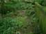 Blane Valley - Remains of Campsie Glen Station site next to entrance to former Lennox Castle Hospital (LCH).<br><br>[Alistair MacKenzie 15/07/2008]