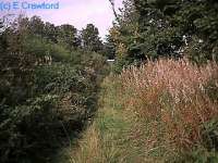 Overgrown site of the Longridge (eastern) terminus of the Wilsontown Morningside and Coltness Railway. View looks west.<br><br>[Ewan Crawford //]