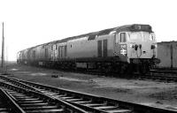 Top link locomotive lineup at Polmadie shed on 18th January 1970. Nearest the camera is D445, followed by D448, D425 and D430.<br><br>[John Furnevel 18/01/1970]