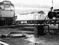 Type 2s predominate on Fort William shed in the summer of 1970.<br><br>[John Furnevel 15/07/1970]