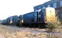 Early diesel casualties. Condemned BTH and NBL 800 bhp type 1 locomotives with D8243 at the head of the line, standing on one of the numerous sidings between some of the many outbuildings that made up part of the massive sprawl that was Stratford in 1968.<br><br>[John Furnevel 22/09/1968]