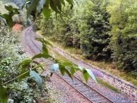 The remains of Leith Walk station in September 2002 looking distinctly tropical. View is north west towards Powderhall from a hole in the fence behind the bus stop at the top of the Walk. [See image 11943]<br><br>[John Furnevel 02/09/2002]