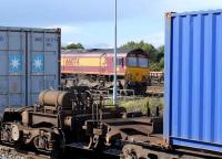 EWS 66074 between containers at Didcot on 12 August 2008.<br><br>[Peter Todd 12/08/2008]