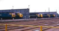 A view from the traverser at Crewe Works with the yellow nose of a class 40 sitting between a clutch of class 47s on 10 June 1971. The predominant livery in this line up is two-tone green.<br>
<br><br>[John McIntyre 10/06/1971]