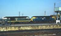 A pair of Class 35 <I>Hymeks</I>, nos D7003 (in green) and D7038 (in blue) on shed at Bristol on 30 July 1971.<br>
<br><br>[John McIntyre 30/07/1971]