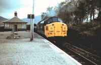 Scene at Bridge of Orchy in 1983 with a 37 hauled northbound freight crossing a passenger train standing at the southbound platform.<br><br>[Colin Alexander //1983]