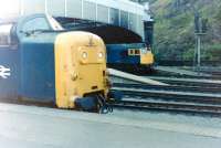 Deltic 55010 <I>The Kings Own Scottish Borderer</I> stands alongside a class 27 at the east end of Waverley on 27 June 1981.<br><br>[Colin Alexander 27/06/1981]