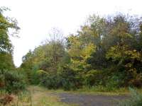 Autumn on the trackbed of the old Glenfarg route which closed to all traffic in 1971.<br><br>[Brian Forbes 11/10/2008]