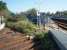 The start of the former Hayle Wharf branch, immediately off the viaduct and alongside the Up platform at Hayle station. This short goods branch never had a passenger service but lasted until 1982. <br><br>[Mark Bartlett 18/09/2008]