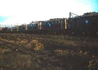 Redundant EM1 Electric locomotives in the sidings at Guide Bridge on 15 June 1983, two years after closure of the Woodhead route.  <br><br>[Colin Alexander 15/06/1983]