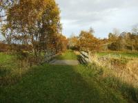 A view along the trackbed about a mile south of Grantown-on-Spey East on the way to Nethy Bridge.<br><br>[John Gray 22/10/2008]