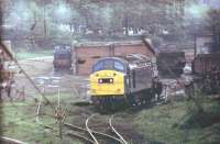 A Class 40 drops off empty mineral wagons in the Leyland scrap sidings and will attach the loaded wagons to its train waiting in the station [See image 21231]. In the background an industrial shunter can be seen but for many years it did not move. The former goods yard closed in the l980s and is now covered by housing.<br><br>[Mark Bartlett /04/1981]
