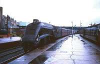 Gresley A4 Pacific no 60019 <I>Bittern</I> coasts into a rainsoaked platform at Stirling station in 1965 with the 7.10am Aberdeen - Buchanan Street train.<br><br>[Robin Barbour Collection (Courtesy Bruce McCartney) 30/10/1965]
