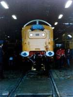 Deltic 55015 <I>Tulyar</I> being questioned by a representative of Hampshire constabularyin Eastleigh depot on 17 October 1981.<br><br>[Colin Alexander 17/10/1981]