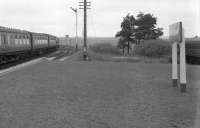 NBL Type 2 D6148 leaves Ellon with a northbound train in July 1963. Redundant coaching stock can be seen stored on the stub of the Boddam Branch to the right of the Island Platform.<br>
 <br><br>[Colin Miller /07/1963]