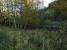 The remains of the goods platform at Drummuir. A set of buffer stops still remains here.<br><br>[John Gray 22/10/2008]