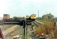 Withdrawn class 306 emus await their fate in the sidings at March on 29 July 1981. Based on an original LNER design the units first saw service in 1949 on the newly electrified Liverpool Street - Shenfield line. <br><br>[Colin Alexander 29/07/1981]