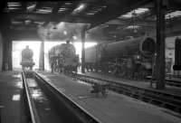 Inside looking out. Dunfermline shed in 1966, with J37 64611, Standard Class 4 76110 and B1 61262 in attendance.<br><br>[Robin Barbour Collection (Courtesy Bruce McCartney) //1966]
