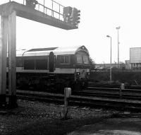 Hanson class 59 locomotive no 59104 <I>Village of Great Elm</I> arrives alongside Westbury station on 28 January at the head of an eastbound stone train originating from one of the nearby Mendip quarries. <br>
<br><br>[Peter Todd 28/01/2009]