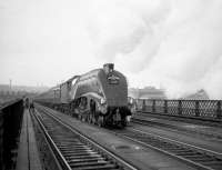 The RCTS/SLS <I>Jubilee Requiem</I> of 24 October 1964 was organised to mark the end of A4 running on the London - Newcastle route and was hauled throughout by 60009 <I>Union of South Africa</I>. The train reached Newcastle Central via the High Level Bridge and returned via the King Edward Bridge, on which it is seen here heading back to Kings Cross. [See image 27005]<br><br>[Robin Barbour Collection (Courtesy Bruce McCartney) 24/10/1964]