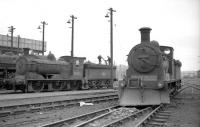 A pair of Holmes J36 0-6-0s, nos 65282 and 65267 on shed at Bathgate in April 1965. At least 4 of these locomotives, introduced by the North British Railway in 1898, were still in service in 1967, making them one of the last operational pre-grouping designs on BR.   <br>
<br><br>[Robin Barbour Collection (Courtesy Bruce McCartney) 16/04/1965]