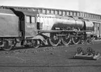 <I>Whenever you're ready ma'am....</I>  46225 <I>Duchess of  Gloucester</I> prepares to leave Upperby shed in the early 1960s and make the short trip to Carlisle station, prior to relieving one of her sister locomotives on arrival from Glasgow Central.<br>
<br>
<br><br>[Robin Barbour Collection (Courtesy Bruce McCartney) //]