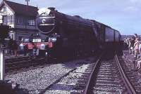 <I>Flying Scotsman,</I> at that time the only steam locomotive allowed on BR, runs into Accrington station from the east on <I>The North Eastern</I> railtour. Accrington North signalbox formerly controlled the junction with the Bury line in the foreground, by this time a parcels siding stub [See image 38442]. This photo was taken by my late father, Tom Bartlett, who although not an enthusiast himself encouraged my hobby and took me to see this train pass through one of our local stations. <br><br>[Mark Bartlett 13/04/1969]