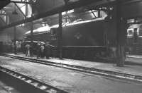 A4 Pacific 60024 <I>Kingfisher</I> receives visitors in the gloom of Ferryhill shed on 3 September 1966 as Type 2 diesel D5307 looks on in the background. The official BR withdrawal date for 60024 was 5 September 1966, two days after this photograph was taken. <br><br>[Colin Miller 03/09/1966]