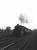 Standard class 5 no 73072 of Polmadie shed drifts through Hillington West towards Glassgow in the sunset with an up freight in May 1963.<br>
<br><br>[Colin Miller 11/05/1963]