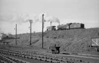 Class J38 no 65903 heading east on the S&D line from Dunfermline Upper in the 1960s running alongside Dunfermline shed. <br><br>[Robin Barbour Collection (Courtesy Bruce McCartney) //]