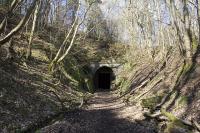 Eastern entrance to Neidpath tunnel. At 674 yards, the western exit of this tunnel emerges near Neidpath Castle, and leads onto Neidpath viaduct<br><br>[James Young /04/2009]