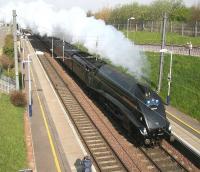 Gresley A4 Pacific no 60009 <I>Union of South Africa</I> heading  south through Musselburgh on 14 April with the returning <I>Great Britain II</I> railtour.<br><br>[John Furnevel /04/2009]