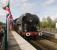 Scene on the Chemin de Fer Baie de Somme at Noyelles Saturday 25th April 2009, showing the impressive 141R 840, which had arrived on a special from Paris.<br><br>[Peter Todd 25/04/2009]