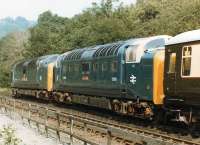 Deltics D9019 <i>Royal Highland Fusilier</i> & 55009 <I>Alicydon</I> stabled in the sidings to the south of Grosmont Shed on 21 August 1984<br><br>[David Pesterfield 21/08/1984]