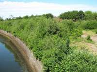 Looking across the overgrown site of Partick Central station in June 2009, view north from Benalder Street bridge.<br><br>[Alistair MacKenzie 23/06/2009]
