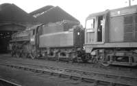 BR Standard class 4 no 76000 and EE Type 1 no D8119 stand outside Motherwell shed c 1966.<br><br>[K A Gray //1966]