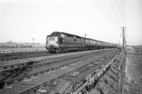 A <I>Deltic</I> at speed with a Kings Cross - Edinburgh train on the ECML near Drem in the 1960s. North Berwick Law stands in the left background. <br><br>[Robin Barbour Collection (Courtesy Bruce McCartney) //]