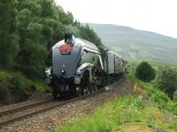 A4 Pacific no 60009 <I>Union of South Africa </I> pictured between Dalwhinnie and Newtonmore on 4 July 2009 with the <I>Osprey Express</I> <br><br>[John Gray 04/07/2009]
