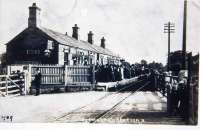 An early postcard showing Grimsargh station, looking towards Preston, on what was possibly the busiest day of its life. The platform is packed with ladies in their finery, presumably waiting for an excursion or special train. The P&L station closed in 1930 but goods trains continued to Longridge until 1967. Although the station site has now been built over it is still possible to walk the old trackbed for a short distance in both directions from here. <br><br>[David Hindle Collection //1909]