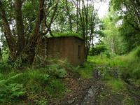 Next to the trackbed about two and a half miles west of St Fillans Station is this derelict platelayer's hut with a roof garden.<br><br>[John Gray 30/07/2009]