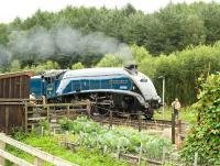 60007 <I>Sir Nigel Gresley</I> arriving at a very wet Levisham station on 1 August with a southbound train... the chime whistle still sends a tingle down the spine.<br>
<br><br>[Peter Todd 01/08/2009]