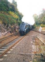 60009 <I>Union of South Africa</I> takes the Stirling line at Hilton Junction in 1993<br><br>[Ken Browne //1993]