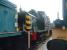 One of several early examples of BR diesel shunting locomotives at the Peak Rail Centre on 27 May 2009. Barclay short-wheelbase 0-4-0 DM shunter no D2953 of class 01, stands in the sidings at Rowsley.<br><br>[Colin Alexander 27/05/2009]