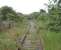 <I>Perchance it is not dead but only sleeping</I>, which was originally said about the Lynton and Barnstaple Railway closure but might equally apply to the Fleetwood Branch as it waits patiently for preservation efforts to bear fruit. This is the view south from New Road crossing. The bridge in the foreground carries the A 585 Fleetwood link road and immediately beyond it is the former junction with the long closed Poulton avoiding line. <br><br>[Mark Bartlett 10/06/2009]