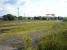 View over the goods yard at Elgin East on 26 June 2009.<br><br>[David Pesterfield 26/06/2009]