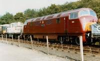 A lineup in the sidings at Grosmont on 21 August 1984 includes Warship D821 <I>Greyhound</I> and Clayton D8568 (in 'Ribble Cement' livery).<br><br>[David Pesterfield 21/08/1984]