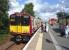 Newton bound 314 212 stands at Burnside on 15 July 2009.<br>
<br><br>[John Steven 15/07/2009]