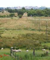 Looking east towards the site of the former MoD Inchterf military shell testing range, once referred to locally as <I>The Gun Range</I>. Taken just outside Kirkintilloch in July 2009. The establishment was closed by the MoD in the mid 1990s.<br>
<br><br>[David Forbes /07/2009]