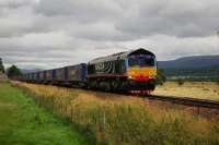 Malcolm Rail liveried 66412 southbound near Kingussie with the Stobart Rail container train.<br><br>[John Gray 01/09/2009]